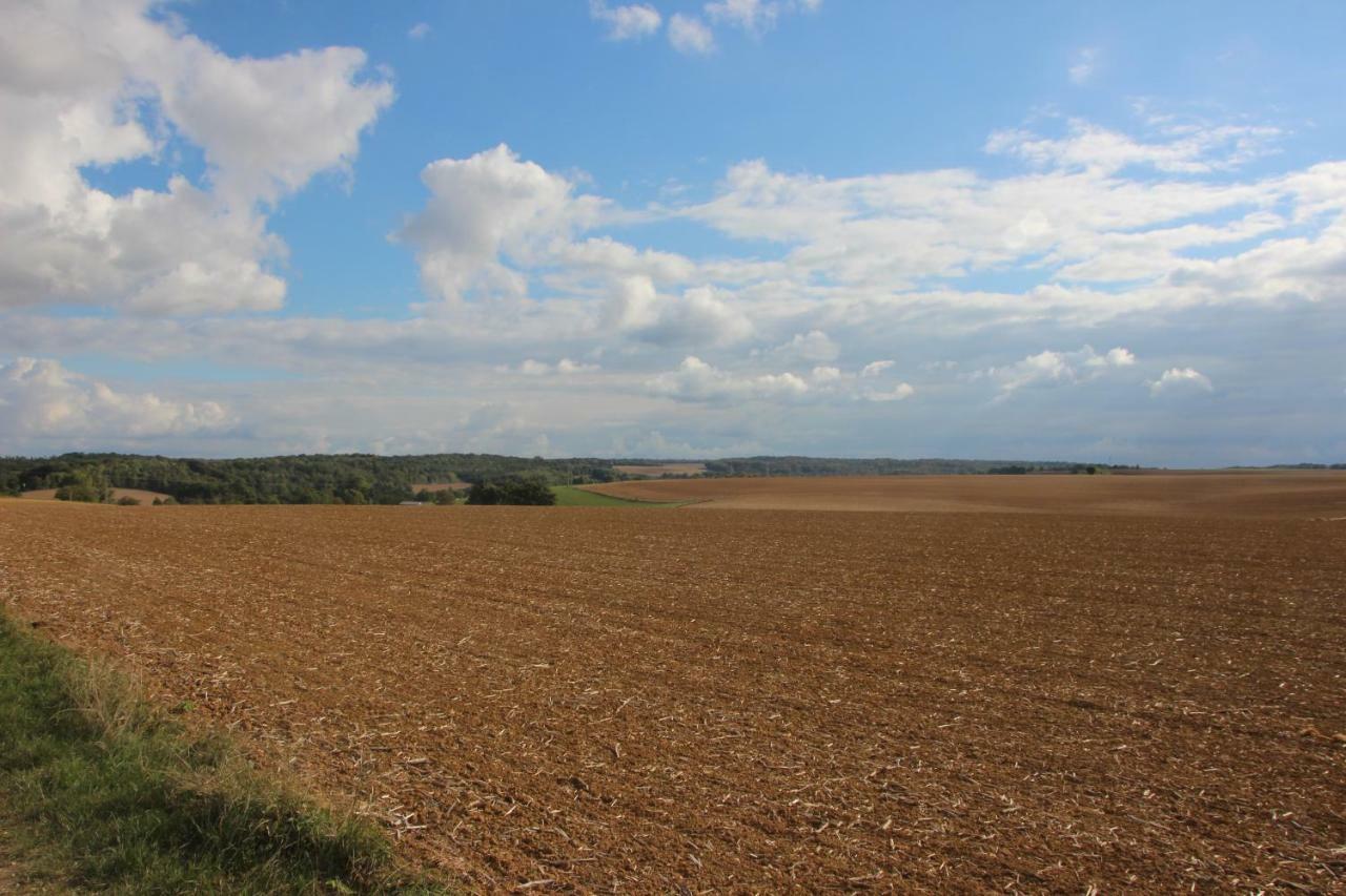 Joie De Vivre Bed and Breakfast Doulevant-le-Château Εξωτερικό φωτογραφία